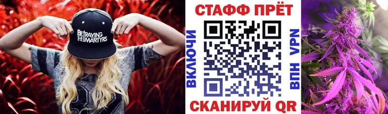Купить наркотики цена Шенкурск Гашиш  СК  МЕФ  Конопля  Cocaine 