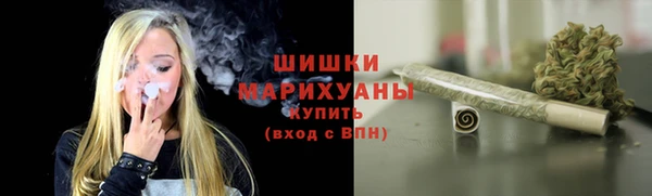 гидра Каменногорск