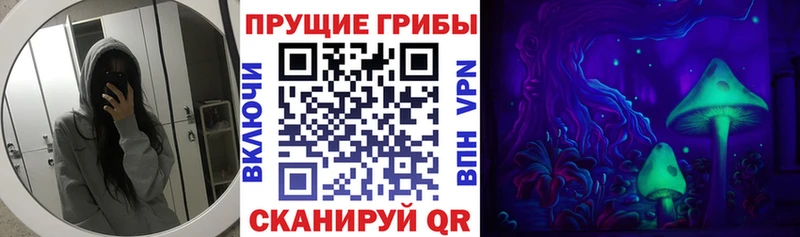 Псилоцибиновые грибы Psilocybe  Шенкурск 